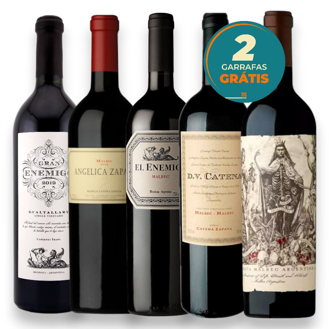 Kit Leve 5 Pague 3 Vinhos Argentinos Premium
